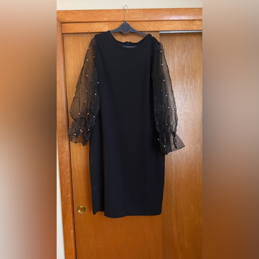 Elegant Black Dress with Sheer Sleeves